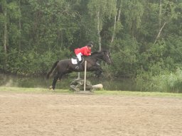 IMG_1488_web
